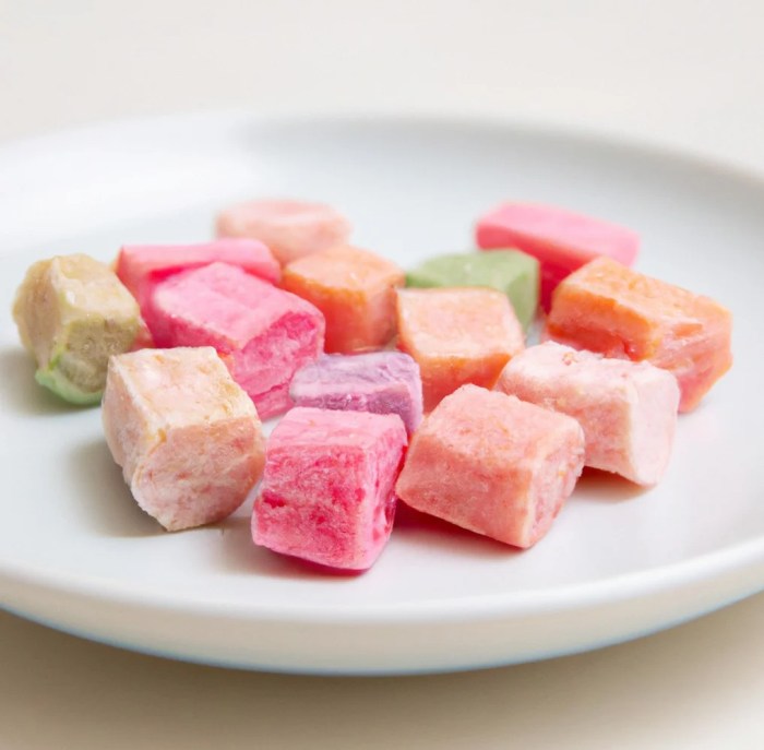 Freeze Dried Candy: A Gourmet Ingredient