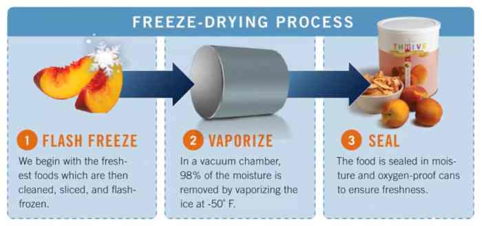 Freeze Drying Candy: A Guide to Food Safety