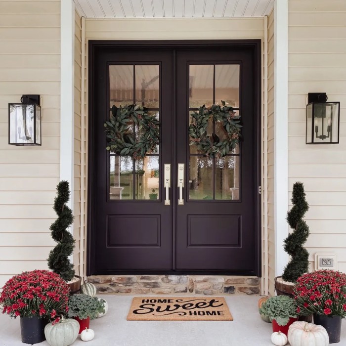 Modern double front doors