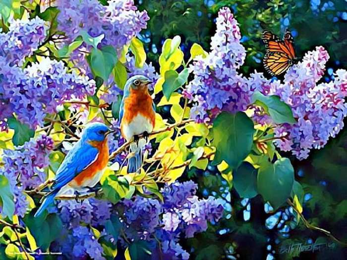 Printemps oiseau oiseaux birds paysage lemondedesgifs greatestcoloringbook cran repost