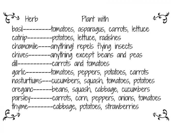 Herbs and spices with repellent qualities