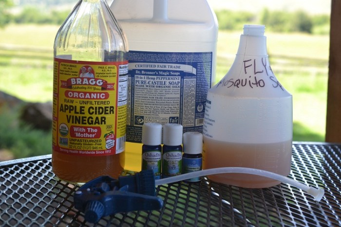 Bug spray homemade repellent diy plant recipe