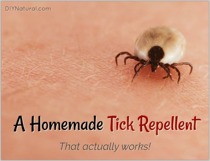 Tick repellent ticks livingwellmom repel repellant chemicals harmful