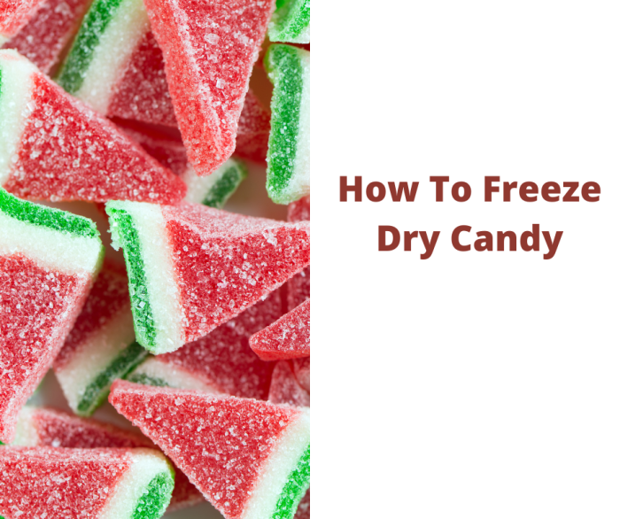 Freeze Drying Candy: A Culinary Education