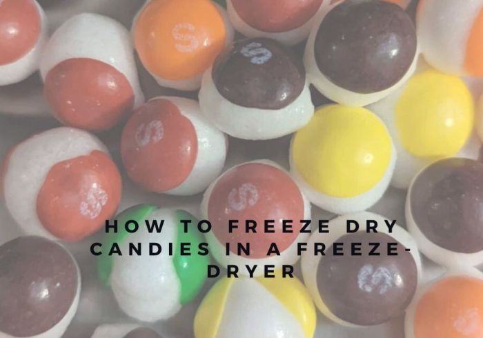 Freeze Drying Candy: A Beginner's Guide