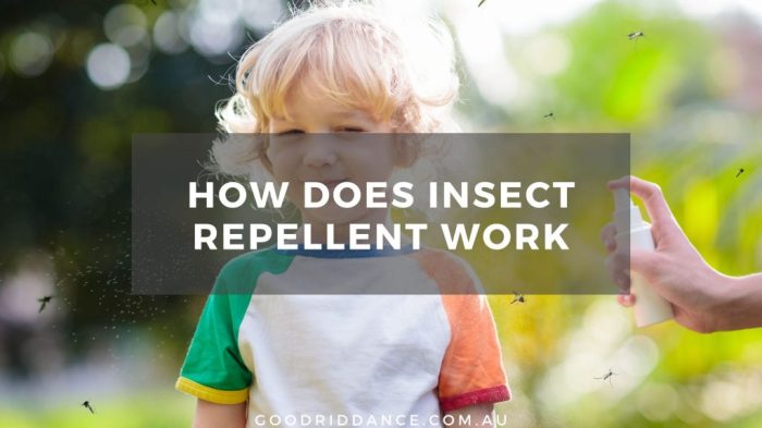 Mosquito repellents repellent