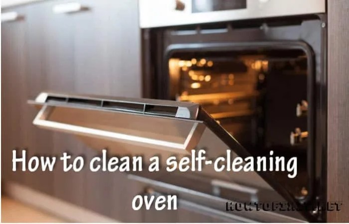 Wolf Oven Self-Cleaning Feature