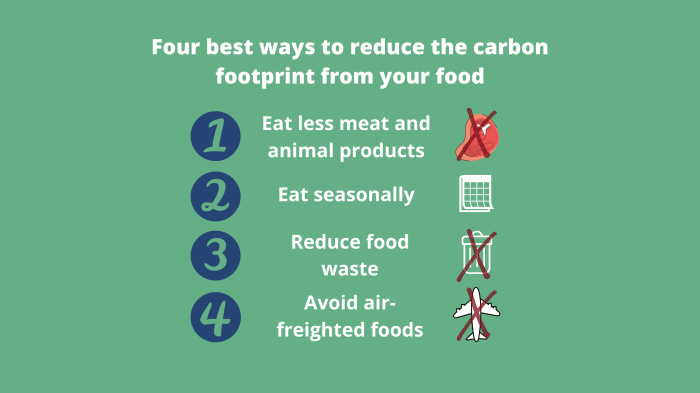 Wolf Oven and Carbon Footprint Reduction