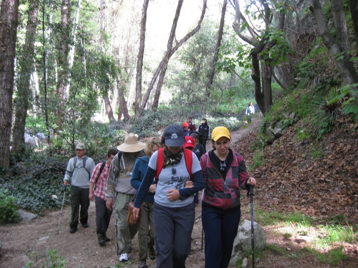 Rabun bald mountain