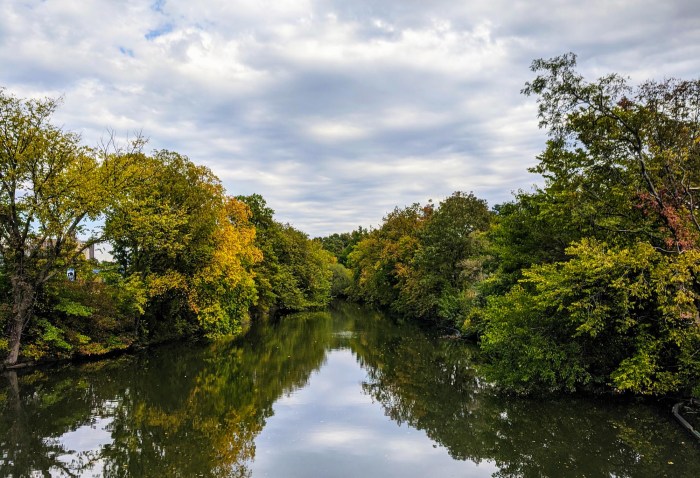 Bronx river gate