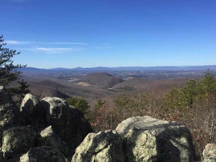 Cove preserve tnc conservancy susquehanna hickey shawn