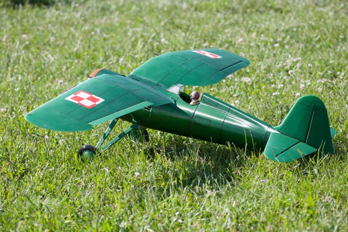 Rc f3a 3d biplane model 3dm cgtrader aircraft models