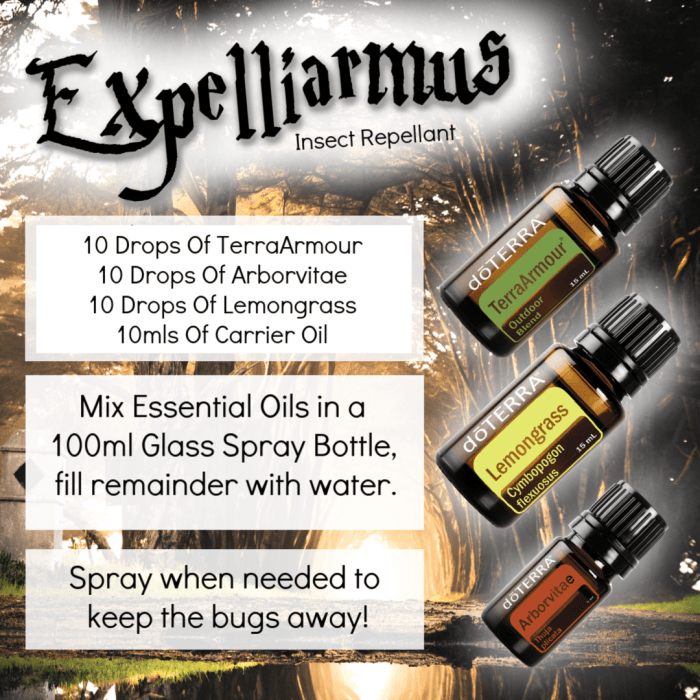 Oils repel insects bug insect