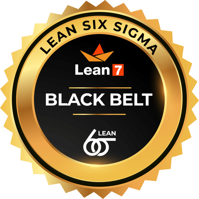 Six belts belt hierarchy levels