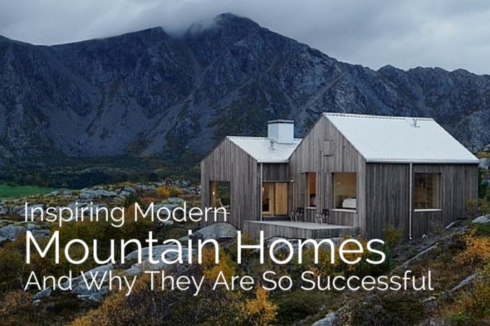 Contemporary mountain homes