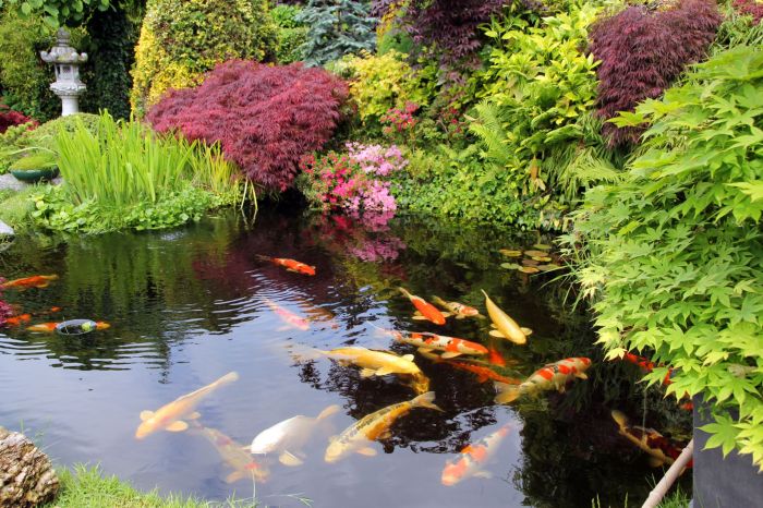 Building a polyurea koi pond