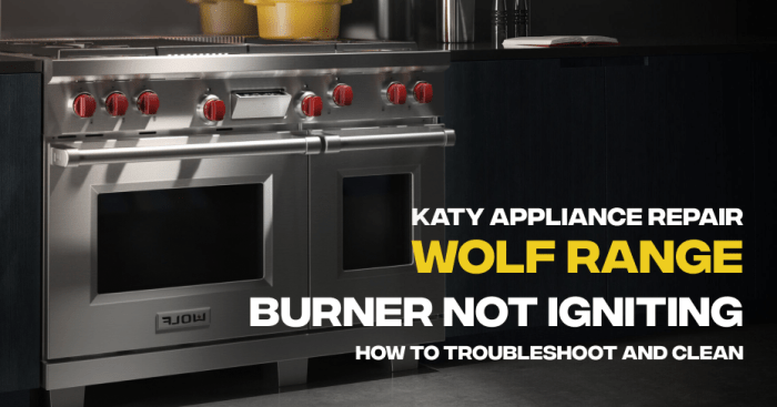 Wolf Oven Troubleshooting Guide