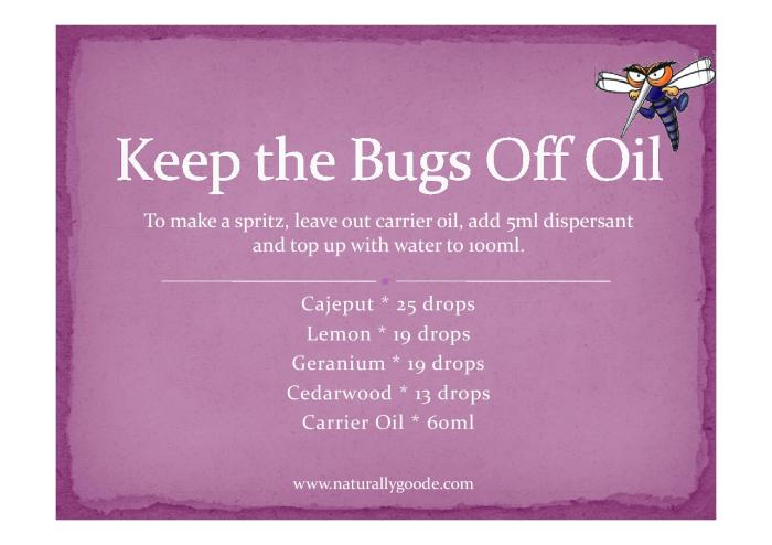 The use of essential oils in dehumidifiers for bug control