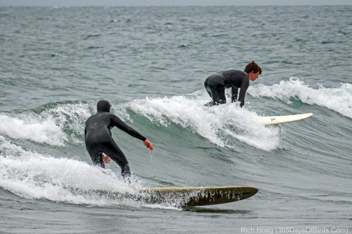 Lake superior surfing lester mouth