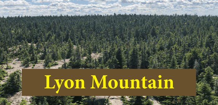 Lyon mountain hike trail