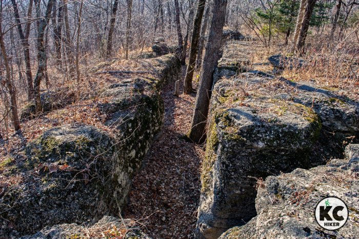 Mountain monkey missouri