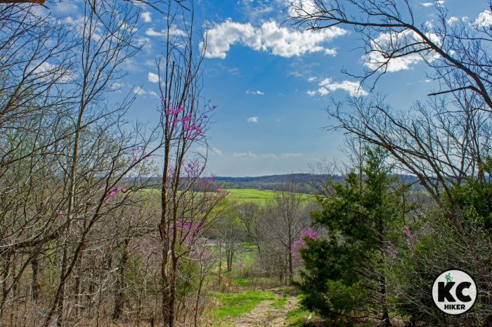 Monkey mountain missouri