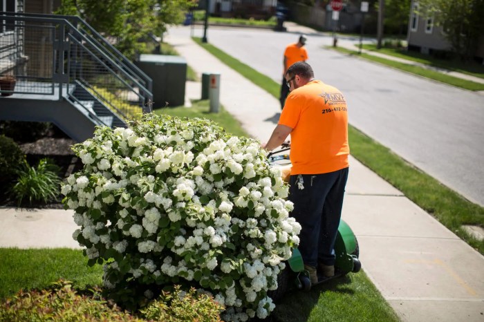 Zbin landscaping rocky river ohio