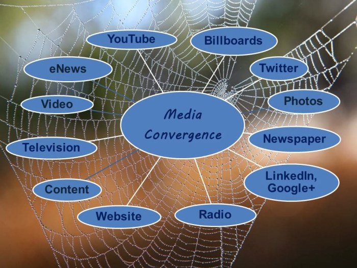 Media convergence server and user loyalty analysis