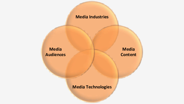 Media convergence server and user growth analysis