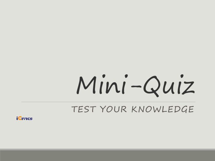 Mini Exams for Authentic Quizzes