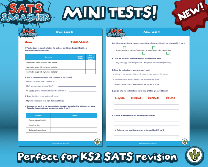 Mini Exams for Quiz Diagnostic Tests Tools