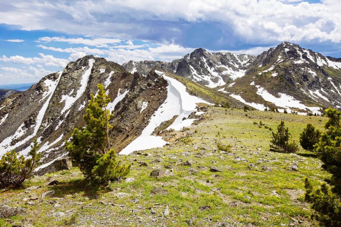 Tobacco root mountains mt