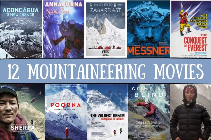 Movies mountain view