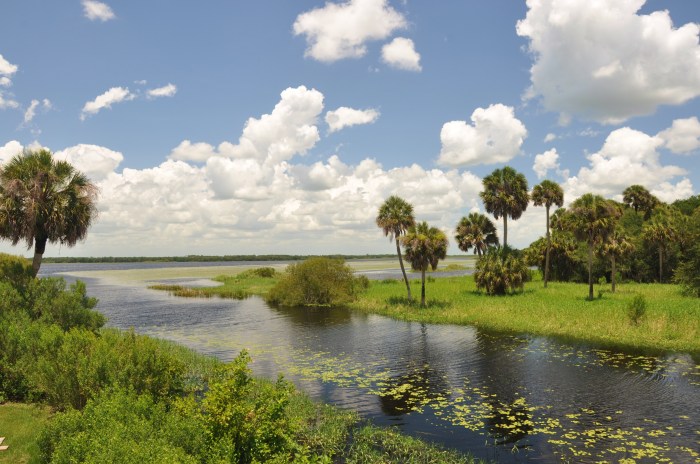 Myakka river compant