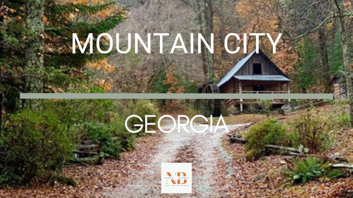 City georgia mountain ga