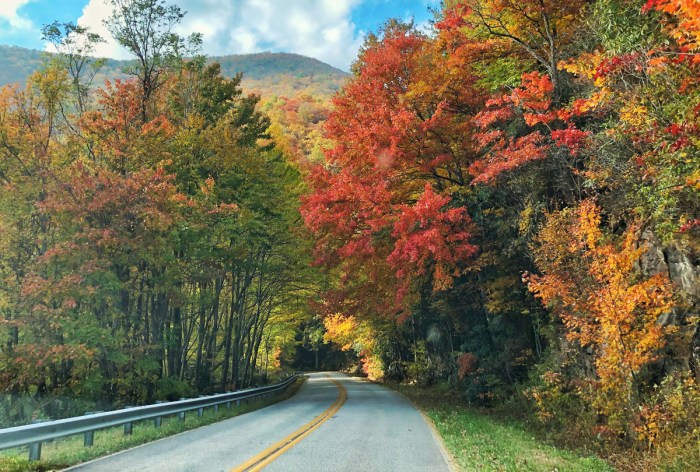 North ga mountains