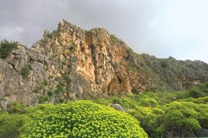 Hermon israel mount mountains highest golan heights mountain do hula geography valley worldatlas northern tel aviv world day area