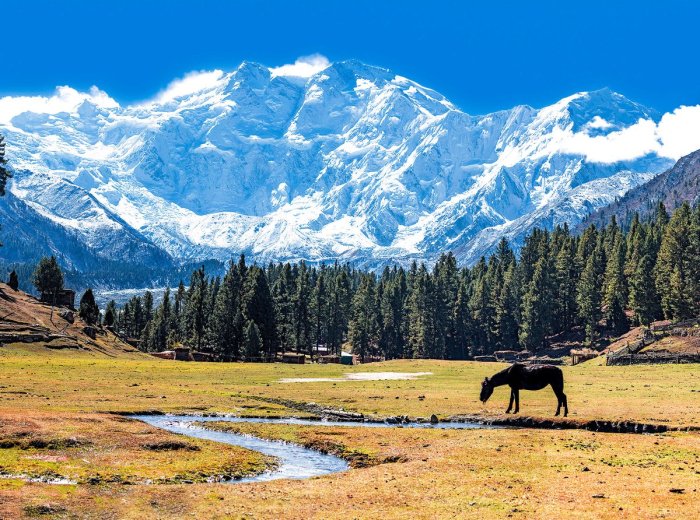 Mountaineering in pakistan