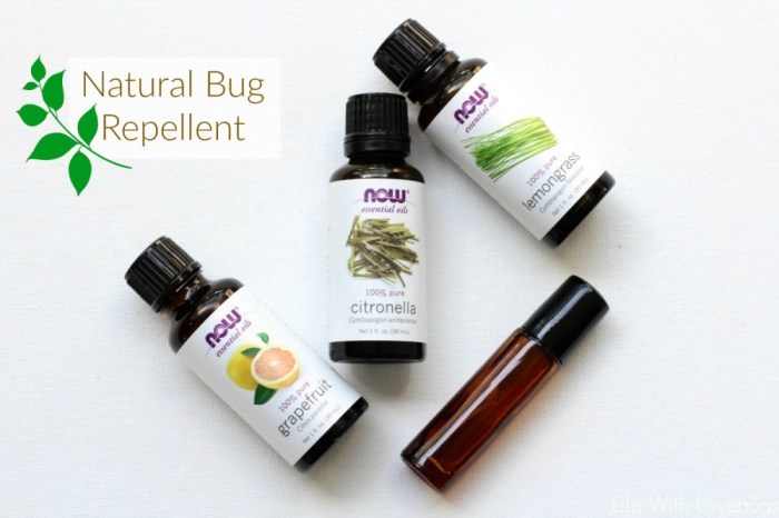 Mosquito repellent oils spray mosquitoes repel recipe mosquitos peppermint doterra repellant