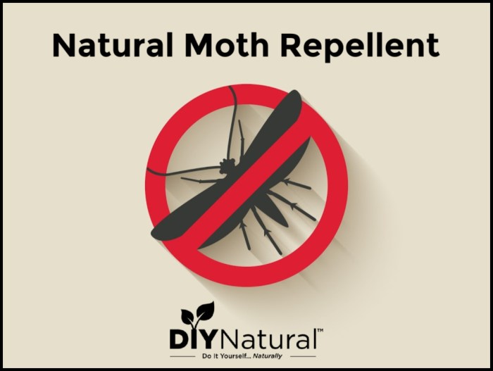 Moth balls oils moths repellent cedarwood silverfish aroma deters