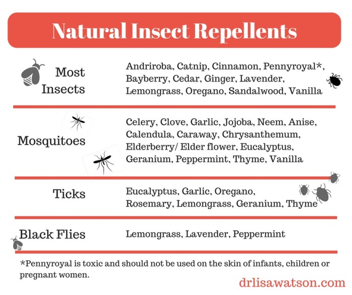 The effectiveness of natural repellents for scale insects