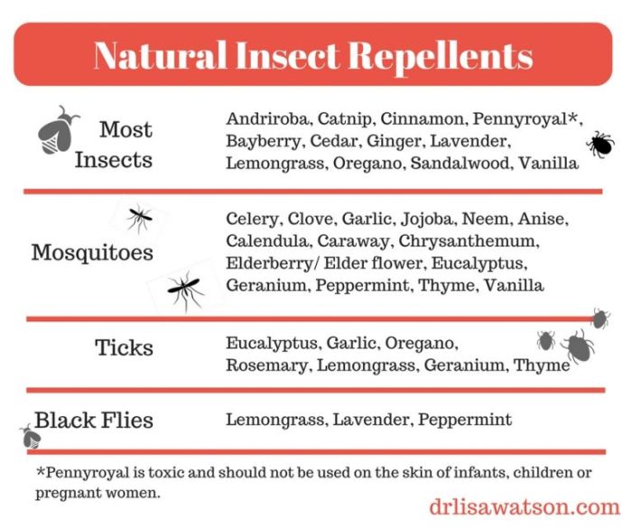 The effectiveness of natural vs. synthetic repellents