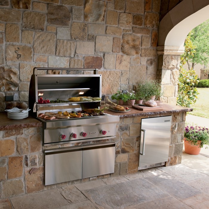 Wolf Oven and Outdoor Cooking