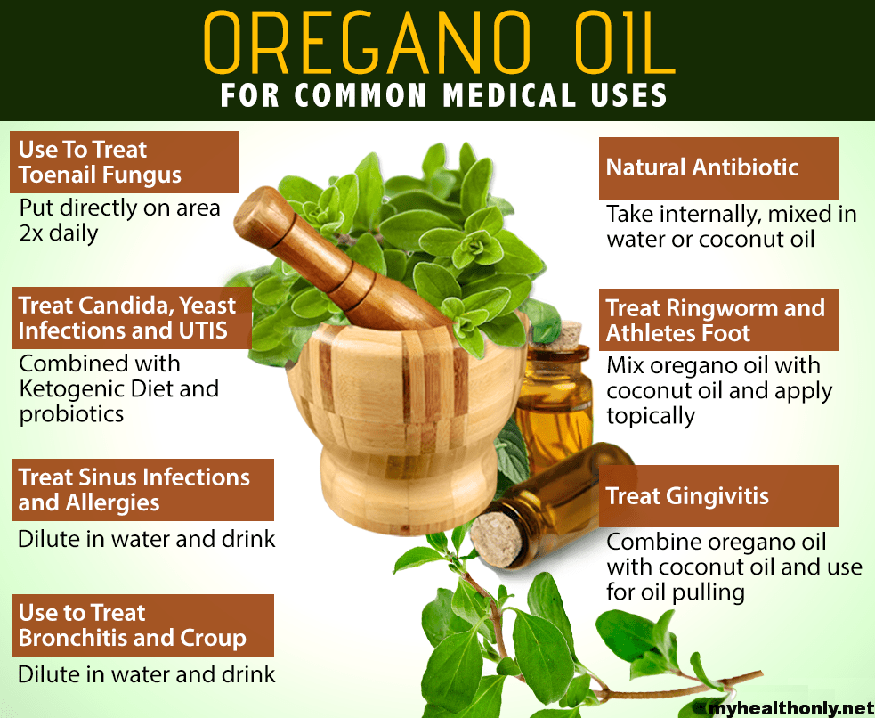 Oregano benefits