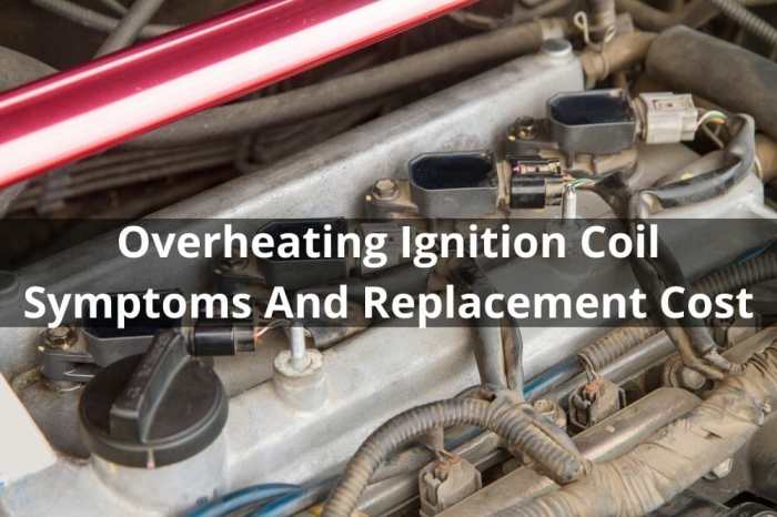 High Humidity: Preventing Damage to Ignition Components