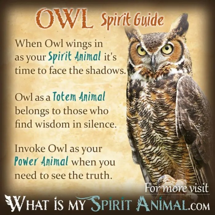 Owls as Emblems of Mystery and Knowledge