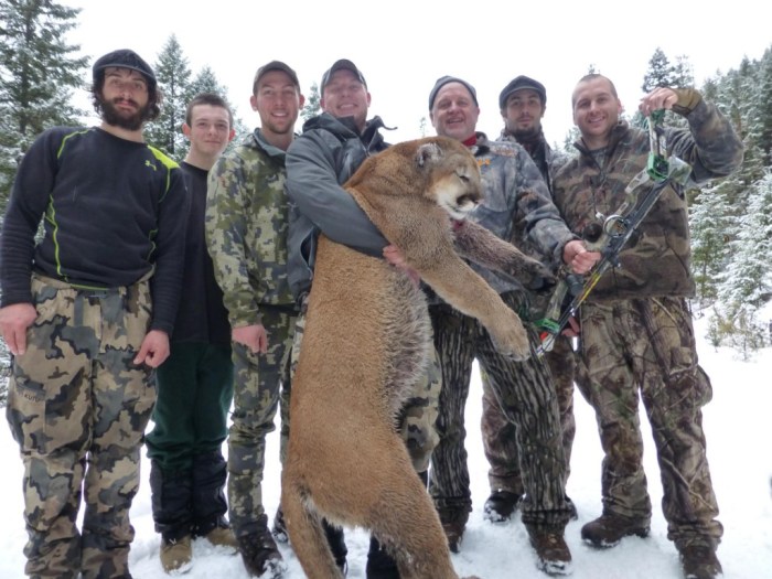 Mountain lion hunting