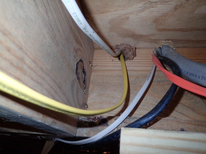 Insulation damaged electricity dangers cables damp overheating