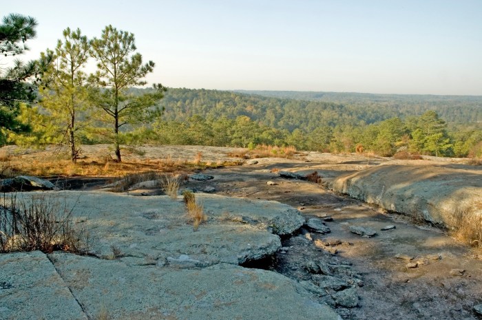 Panola mountain golf course