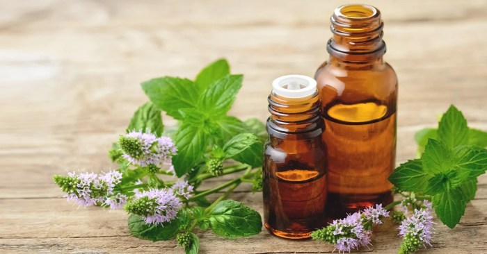 The effectiveness of peppermint oil